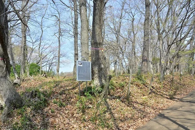 13豊鹿島神社の北側の道ばたに立つ説明板.jpg