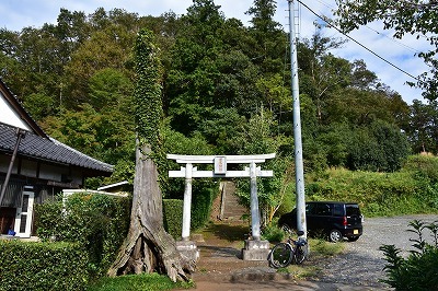 厳島神社の鳥居.jpg