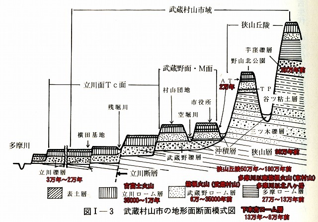 武蔵村山の地形断面図のコピー.jpg
