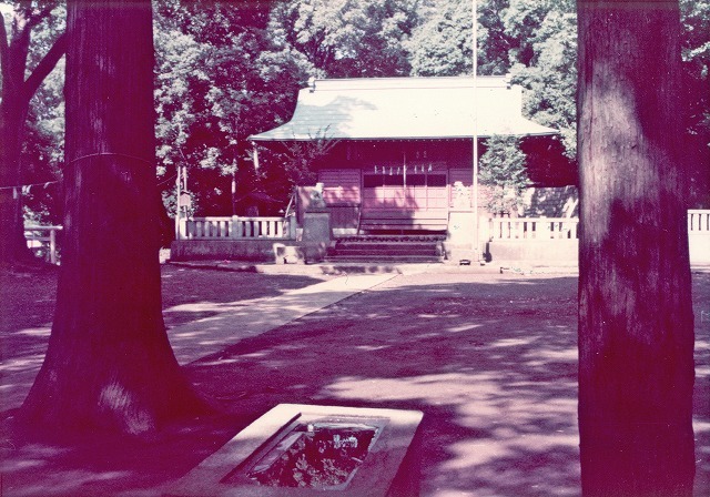 獅子舞が舞われていた頃の豊鹿島神社_平成3年(1991)撮影.jpg