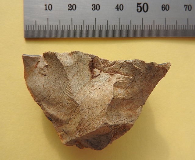 5街道内遺跡から発見された「石核」(約15000年前).jpg
