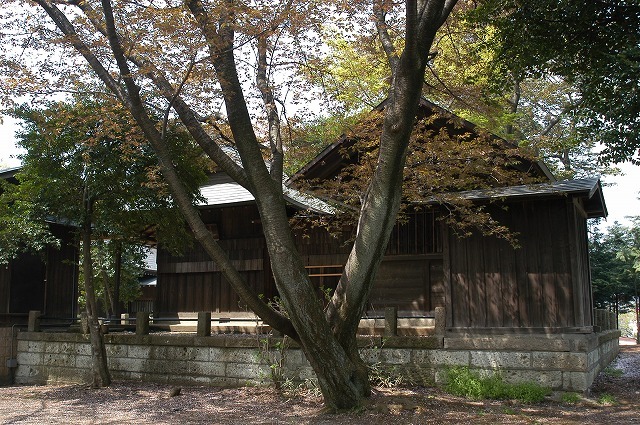 木々に覆われる高木神社.jpg