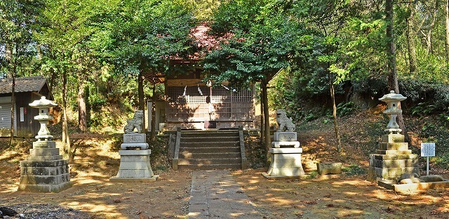 8蔵敷_熊野神社社殿_横と奥に芋窪礫層が露頭.jpg