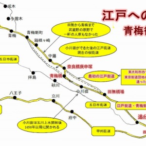 1駄賃稼ぎに行き来した江戸街道模式図.jpg