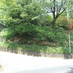 12露出地のすぐ上が豊鹿島神社奧の宮です.jpg