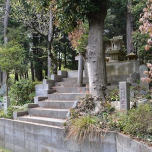 本殿北側にまつられた浅間神社.jpg