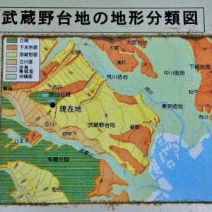 15武蔵野台地の地形図.jpg