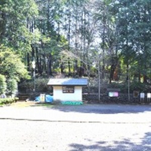 豊鹿島神社の本社殿前庭.jpg
