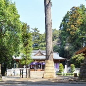 豊鹿島神社.jpg