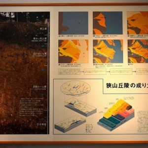 13「狭山丘陵の成り立ち」の説明図.jpg