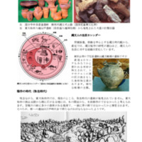 東大和市の生い立ち03.pdf