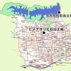 2マガキ・ヒメアサリ出土地.jpg
