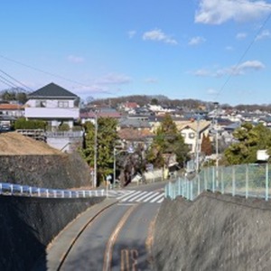 諏訪神社の旧地と考えられる「諏訪山」(画像左側）.jpg