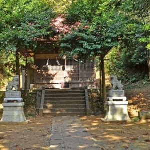 8蔵敷_熊野神社社殿_横と奥に芋窪礫層が露頭.jpg